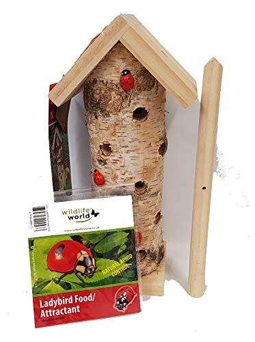 Ladybird Tower with 25 Live Adult Ladybirds and Food