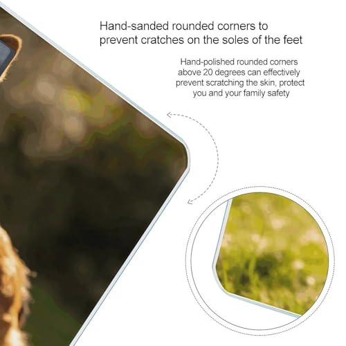 Báscula digital para peso corporal 400 lb con pantalla LCD miniatura 4