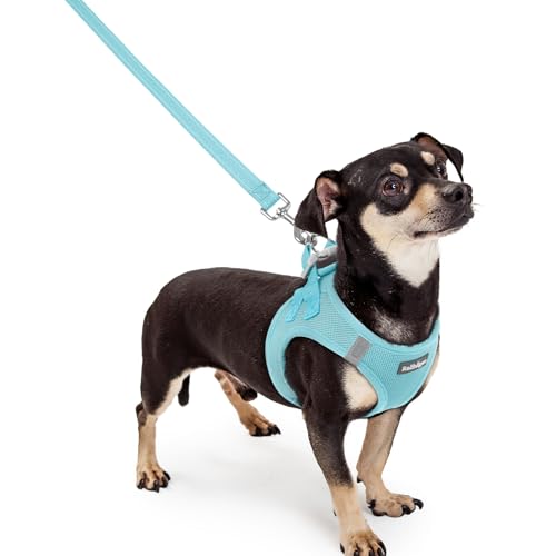 Image of rabbitgoo Dog Harness Small Sized and Leash Set, Step-in Puppy Pet Vest