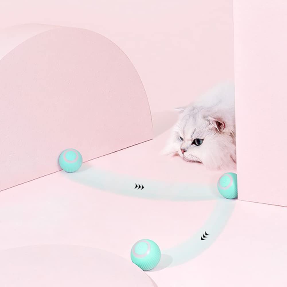 USB Aufladbar Pipihome Elektrisches Katzenball-Spielzeug – Automatischer  Rollball Mit Schwanz Für Interaktiven Spielspaß Für Katzen Und Hunde, image size:1001x1001