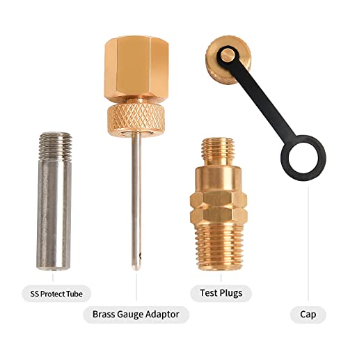 Image of Brass Test Plug with Brass Gauge Adaptor, 1 /4 inchNPT Male
