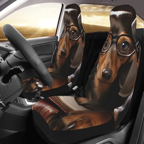 Housses de protection de siège auto pour voyager avec son chien