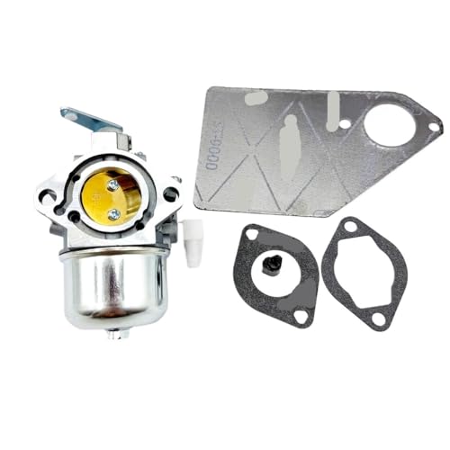 Carburateur moto résout calage BS497451 690144 695501