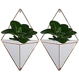 S: 120 mm x 185 mm. Venus valink 2 Piezas Colgante de Pared Maceta, Geométrico Tiesto, Decoración Contenedor Tiesto Jarrón Interior Jardín para Suculento Plantas Aire Mini Cactus Imitación - Blanco, Small