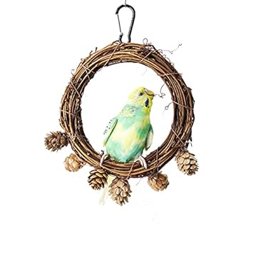 MISS FIRE Parrot Swing Toy,Parrot Swing Perches for Small Parakeets Cockatiels, Conures, Macaws, Parrots, Love Birds, Finches