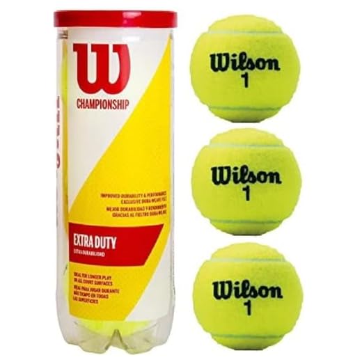Wilson Bolas de tênis Championship Extra Duty, 24 latas