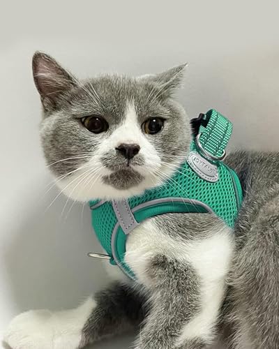 Joytale Hundegeschirr, Reflektierend Weich Gepolstert Hunde Geschirr, Air-Mesh Atmungsaktiv Brustgeschirr für Katze Welpen Hunde, XXXS, Türkis