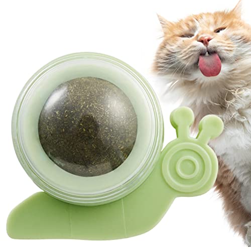 Bola de parede catnip - Brinquedo de Bolas de Catnip em Forma de Caracol para Gatos Limpeza de Dente
