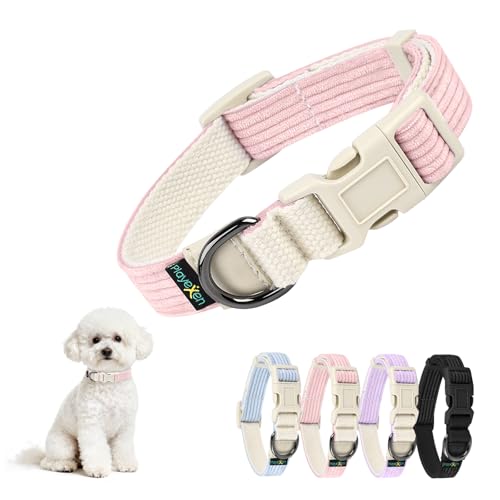 Collare per Cani Gatti Collari Regolabile 25-40 cm in Morbido Velluto a Coste con Cotone per Gatto&Cane Taglia Piccola Media Grande Accessori Collare per Cuccioli Animali di Piccola Large 2,0cm Rosa