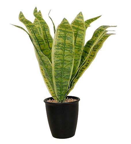 Image of Foliyaj Artificial Snake Plant with Black Pot with Embedded Brown Stones | 38 cm Tall | Plants for Home Decor | Indoor Plants for Living Room