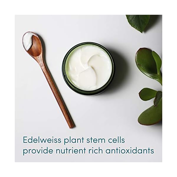 YUNI Beauty Facial Moisturizer & Skin Firming Lotion (2oz) Active Calm Face & Neck Firming Cream - Intense, Deep Hydration for Dry Skin - Natural Skin Care, Vegan, Paraben-Free, Cruelty-Free