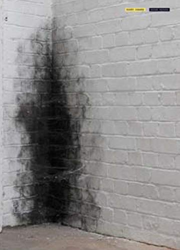 Anish Kapoor: Dirty Corner