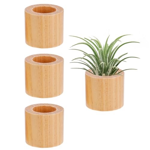 Comparison: Best Containers For Air Plants 8 Bigmeta 3 Pcs Wood Air Plant Holder, 1.4" Rustic Style Airplant Display Stands for Women Gifts