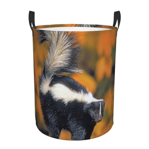 Cesto Para Ropa Sucia 60L, Lindo Patrón De Mofeta Cestos Almacenaje Grande Plegable Cesta Para La Ropa, Para Salon, Lavandería, Baño