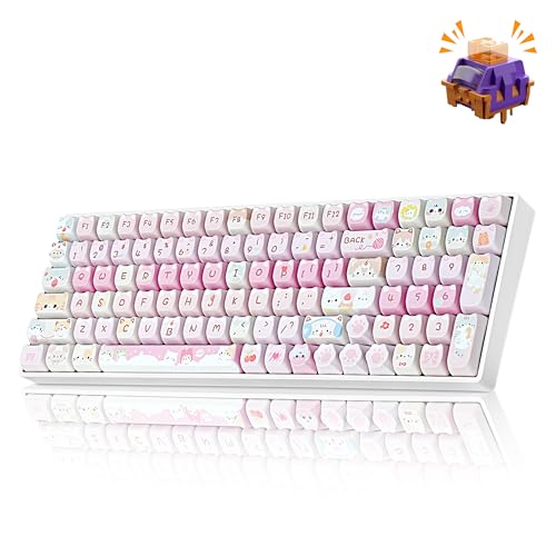 Image of ZORNHER ZH100 Wireless Cat Mechanical Keyboard,98% Pink Cute Creamy Keyboard with Number Pad,Full Size Hot-Swappable Kitty Gaming Keyboard,Meow Meow Squad Keycaps,Clicky Blue Switches,RGB Backlit