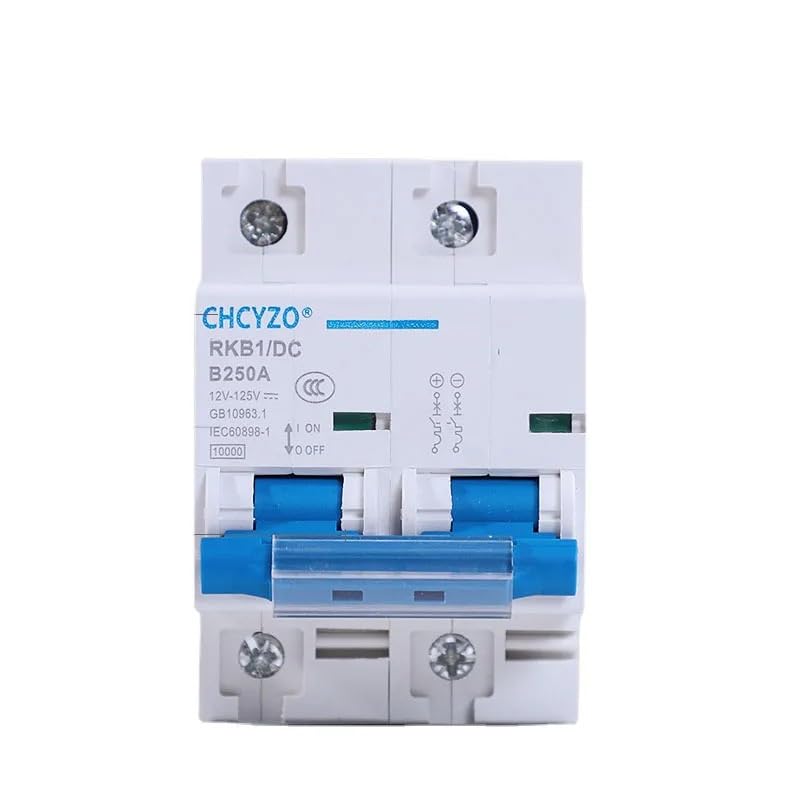 Interruttore Magnetotermico Interruttore automatico di protezione 2P 80A/100A/125A/150A/200A/250A CC 12V-125V(150A)
