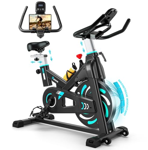 Heimtrainer Fahrrad, Riksion Hometrainer mit Flüsterleisem Magnetwiderstand, Spinning Bike Indoor bis 160 kg belastbar, Robuster Rahmen, Verstellbarer Widerstand und Transportrollen Grün/Blau