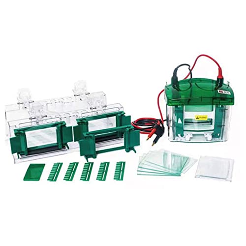 Gel de electrodos, El instrumento de electroforesis en gel de proteína con tanque de electroforesis vertical pequeño LF-Mini3 se utiliza for varias electroforesis en gel de proteína(2)
