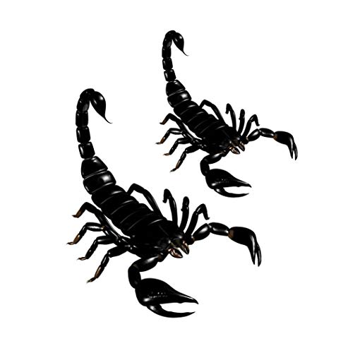 Scorpion Collection (Scorpion Iron on Transfer Sheet)