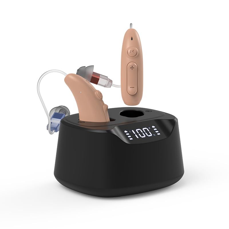 B501 Hearing aid