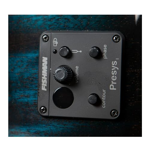 Breedlove RFCN51CEAMAM Eco Rainforest S Concert Ce Acoustic-Electric Guitar thumb #6