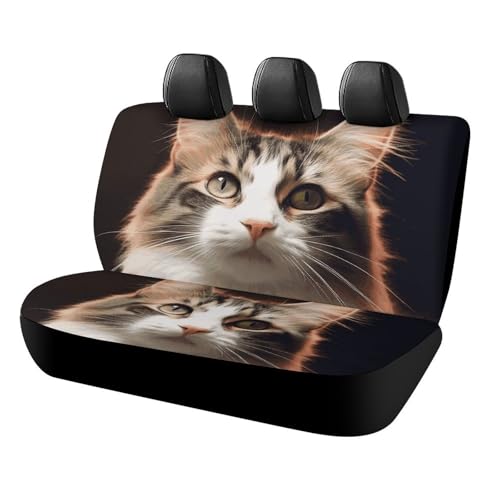 Housse de siège arrière voiture chat pour sorties et retours de forêt