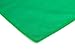 The Rag Company - Standard Microfiber Window, Glass, Mirror & Chrome Towels - Professional Cleaning & Detailing, Lint-Free, Streak-Free, 350gsm, 16in x 16n, Green (12-Pack)