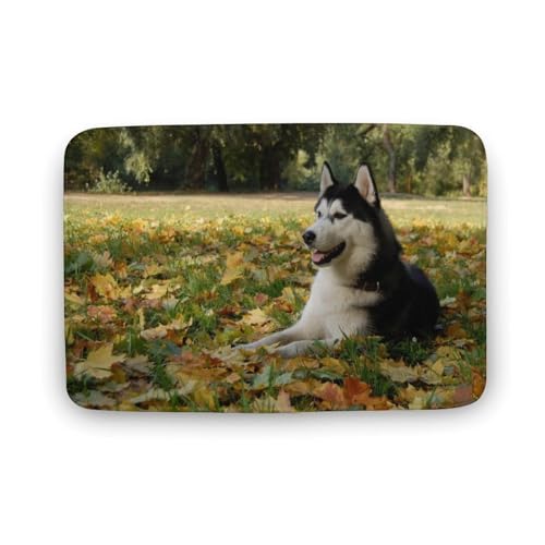 Č  L  oX}bg z/唻 փ}bg  O   \ ~ Aj LN^[ @}bg   ʏ