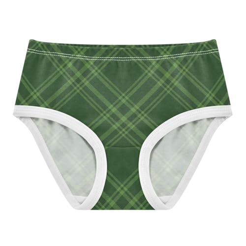 Brief Panties Daily Wear Panties Breathable Underwear for Kids in Sizes 2T,3T, 4T, 5T, 6Y and 8Y