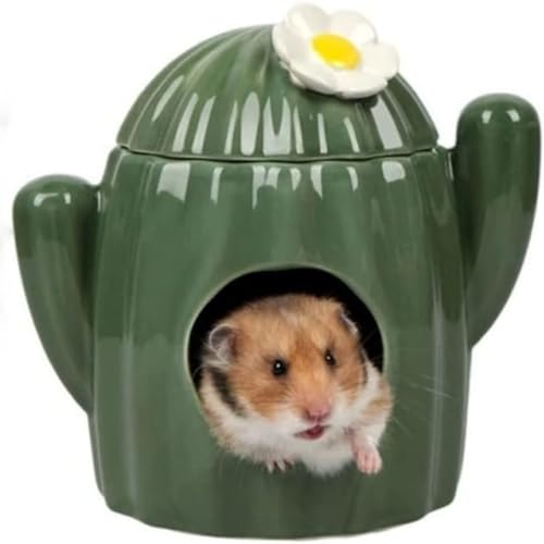 nX^[ElXg nX^[Z~bN {E t[h{E Z~bNX PgX^h S[f xA nChAEg nEX nX^[ `` nlY~ fO[ T{e Ђ K 􂦂 (O[L,1)