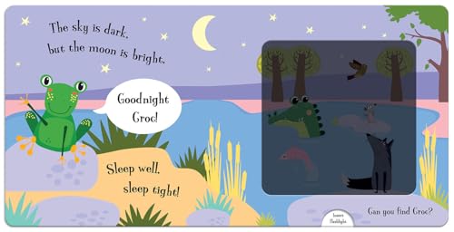 Goodnight Frog (Magic Flashlight Books) - Image 3
