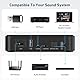 Arylic S10+ Wireless Audio Receiver, Multiroom-Stereo mit SPDIF-Ausgang, WiFi & Bluetooth Music Streamer, streamt verlustfreie HD-Musik von Spotify, Amazon Music,Tidal etc.Support AirPlay.