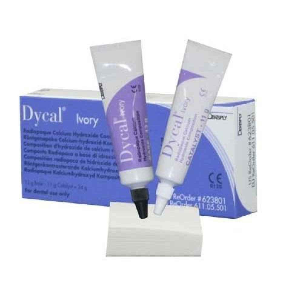 dycal Dental use