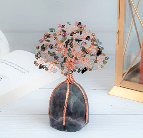 Image of Crocon Multi Tourmaline Crystals Tree with Fluorite Rough Base, Birthday