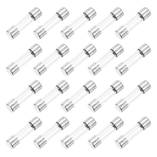 QUARKZMAN 3A 250V Fusibile In Vetro 0.2x0.79 Fusibile Rapido Per Elettrodomestici 20 Pz