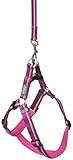 Terrain D.O.G. Reflective Neoprene Lined Dog Harness, Medium, Purple