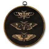 Mcehtle Vintage Butterfly Wall Art Decor, Dark Moody Cottagecore Moth Butterfly Framed Canvas Prints 10x10, Neutral Farmhouse Round Wall Hanging Artwork Decorations for Bedroom Living Room