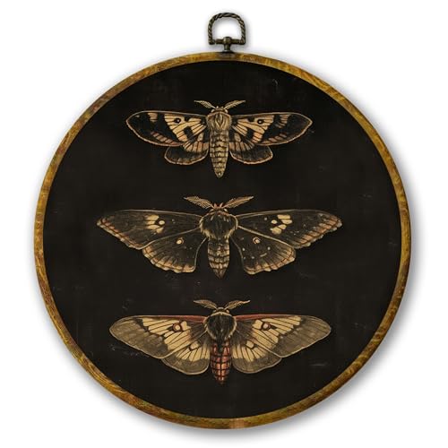 Mcehtle Vintage Butterfly Wall Art Decor, Dark Moody Cottagecore Moth Butterfly Framed Canvas Prints 10x10, Neutral Farmhouse Round Wall Hanging Artwork Decorations for Bedroom Living Room by Mcehtle - Used condition - US$12.77
