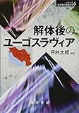 解体後のユーゴスラヴィア (シリーズ転換期の国際政治 6)