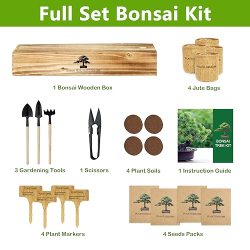 Bonsai Tree Kit, Bonsai Starter Kit with Seeds & Tools, Tree Live Plants Indoor, Gardening Gifts for Women Men Mom Father Plant Lover, Birthday Gifts for Women, Father Day Gifts - Image 2