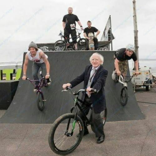 Michael D. Higgins cover art