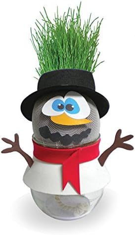 Toiing Plantoi Skippy The Snowman Unique Gift Plant Toy That Grows Real Grass