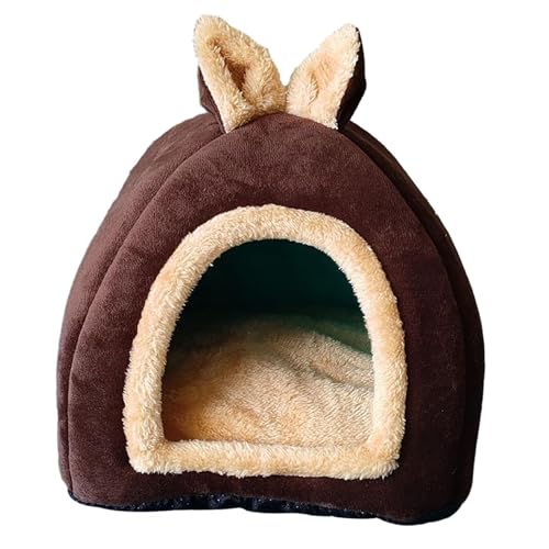 ^ybgpxbh gETM̃P[W̑ `` X nlY~p M, ÊF