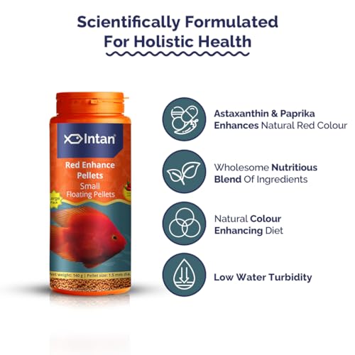 Image of Intan Red Enhance Pellets (Small 1.5mm Floating) | 140gm - Highly Nutritious Ornamental Fish Food for Parrotfish & Red Coloured Fish | Growel Feeds