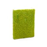 Satisfacción de calidad y entrega oportuna garantizada. Para estar seguro de la autenticidad, te recomendamos que compres este producto en la tienda De Kulture Works.