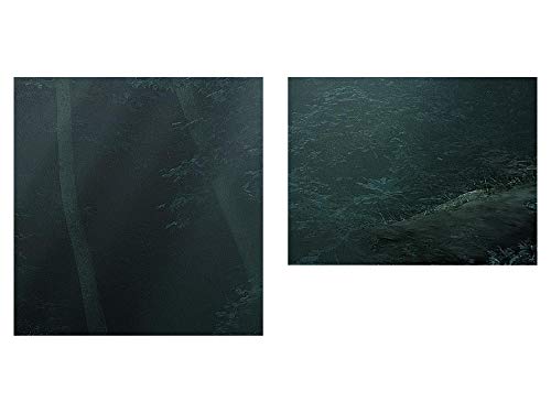 Runa Art Quadri Moderni Foresta paesaggio Tela Non...