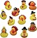 4E's Novelty Thanksgiving Rubber Duckies (12 Pack...