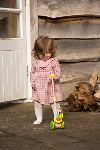 Classic World 3305 Jouet en Bois Pousser Rainbow Fleur Haute Qualité