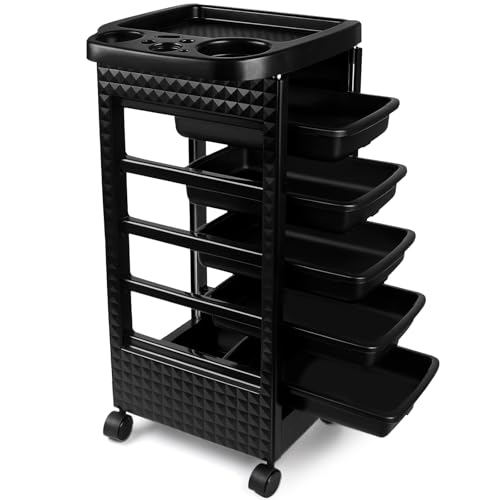 Roixeeds 5-Drawer Budget Cart