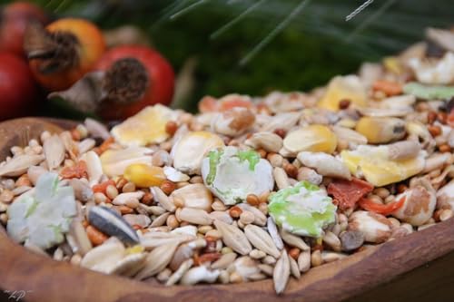 Anhaltiner Mäusefutter 10 kg Premiumfutter Mischfutter auf die Nahrungsbedürfnisse von Mäusen angepasst